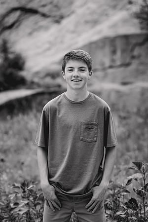 David-3