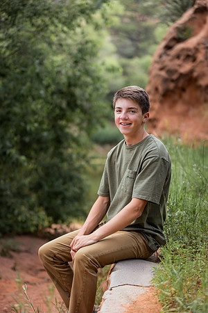 David-12