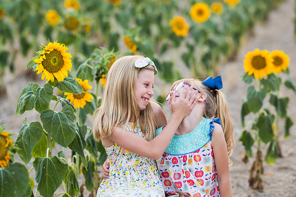 sunflower (2 of 1)